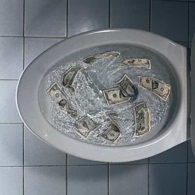 Money Going Down the Toilet