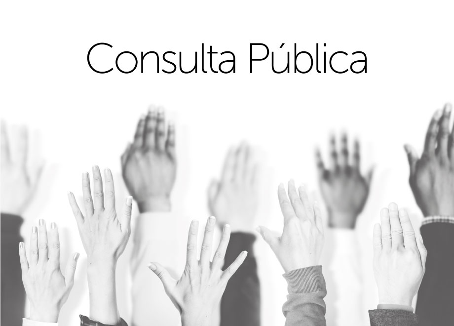 img-consulta-pública